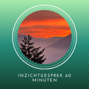 Inzichtgesprek 60 min